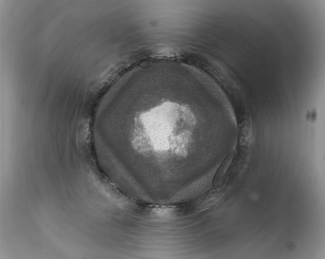 X0000112030560200908241541