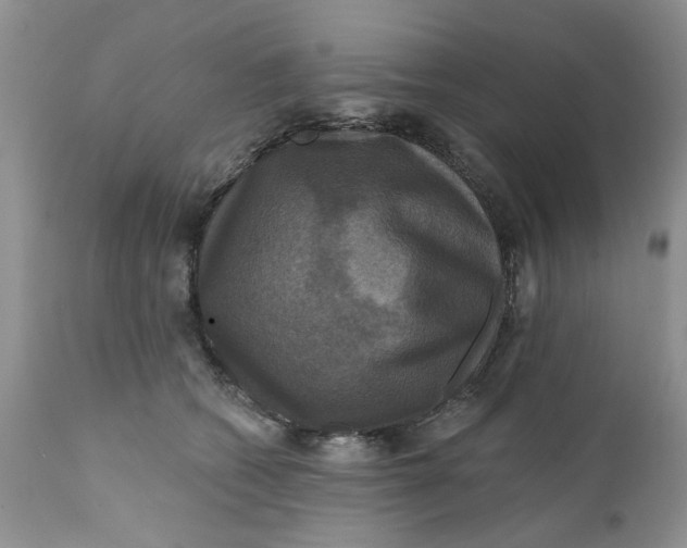 X0000112030562200908241541