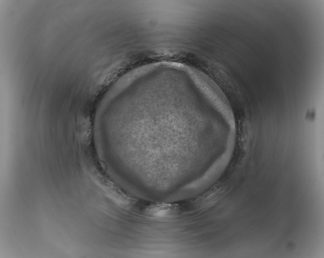 X0000112030563200908241541