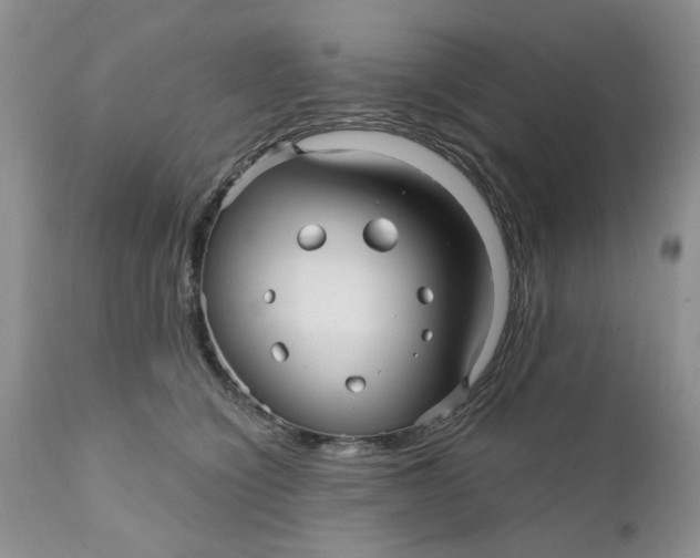X0000112030564200908241541