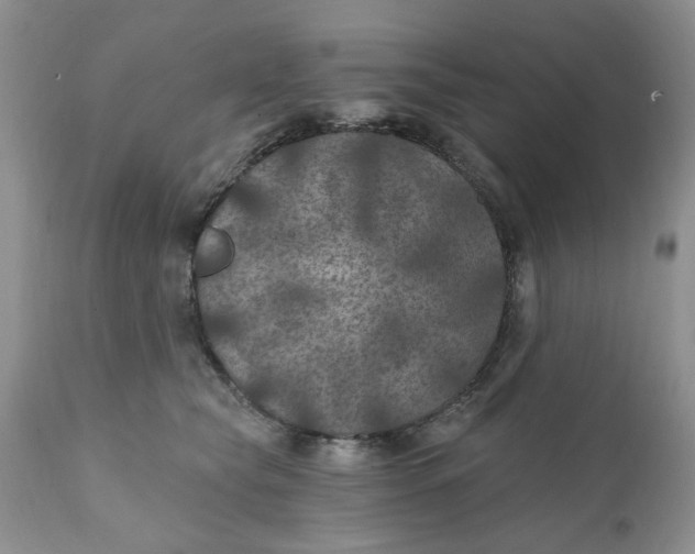 X0000112030565200908241541