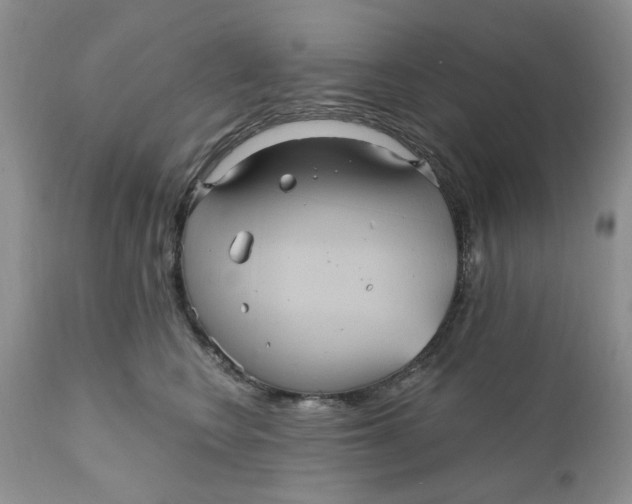 X0000112030566200908241541