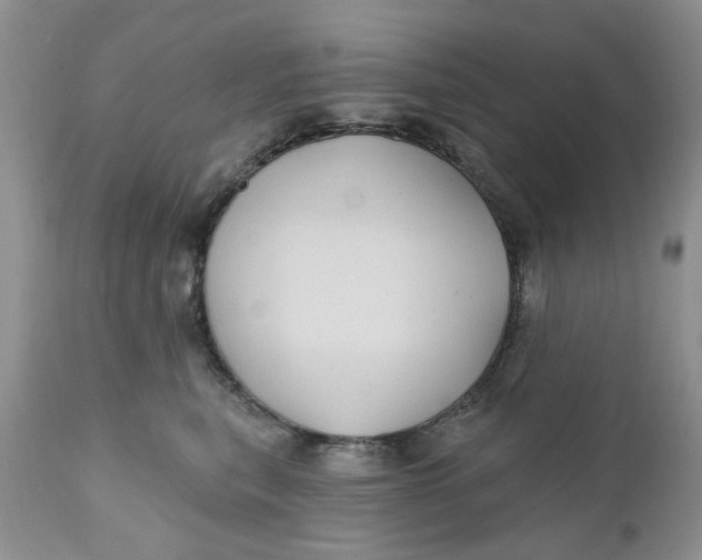 X0000112030567200908241541