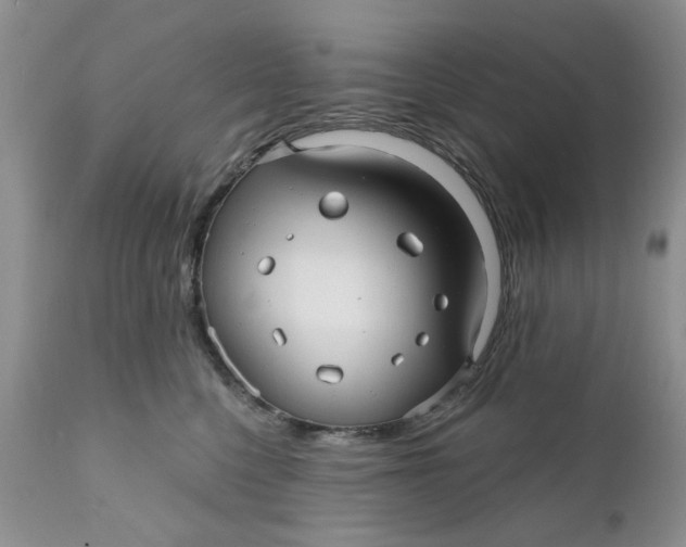 X0000112030568200908241541