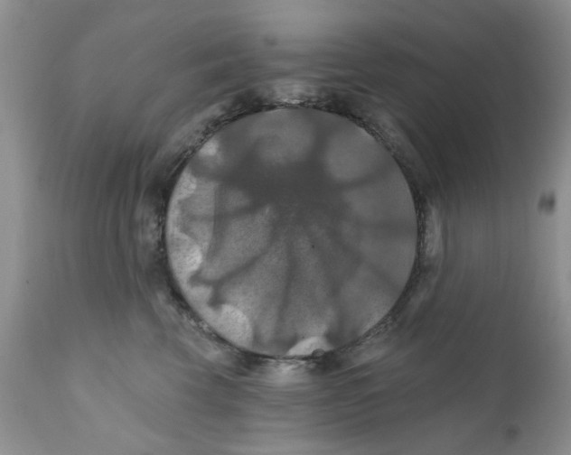 X0000112030569200908241541