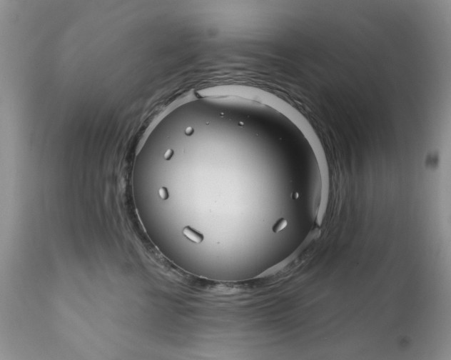 X0000112030570200908241541