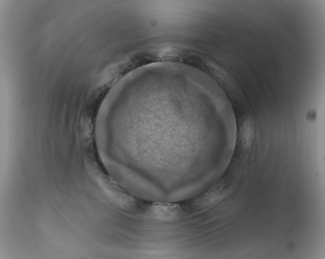 X0000112030571200908241541