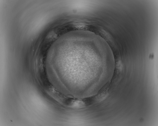 X0000112030572200908241541