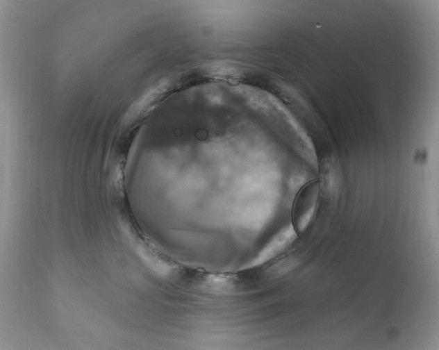 X0000112030573200908241541