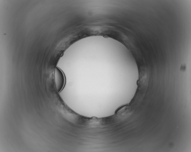 X0000112030574200908241541