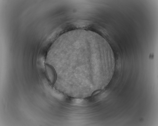 X0000112030575200908241541