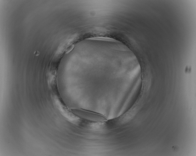X0000112030576200908241541