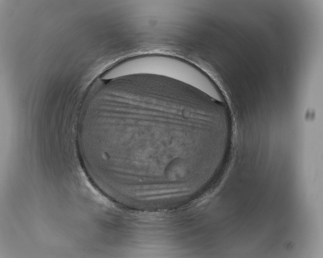 X0000112030577200908241541