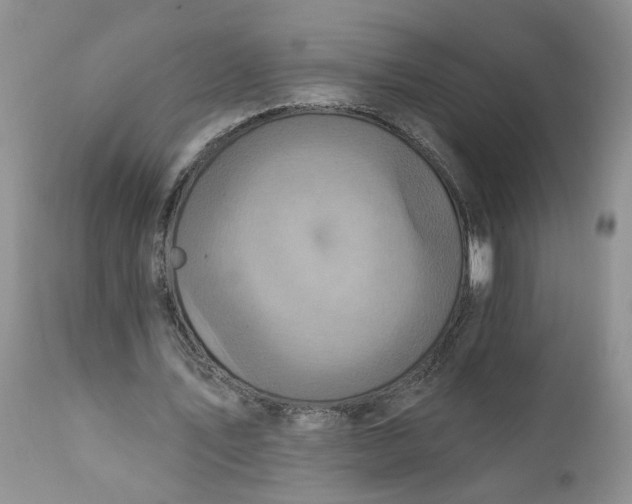 X0000112030579200908241540