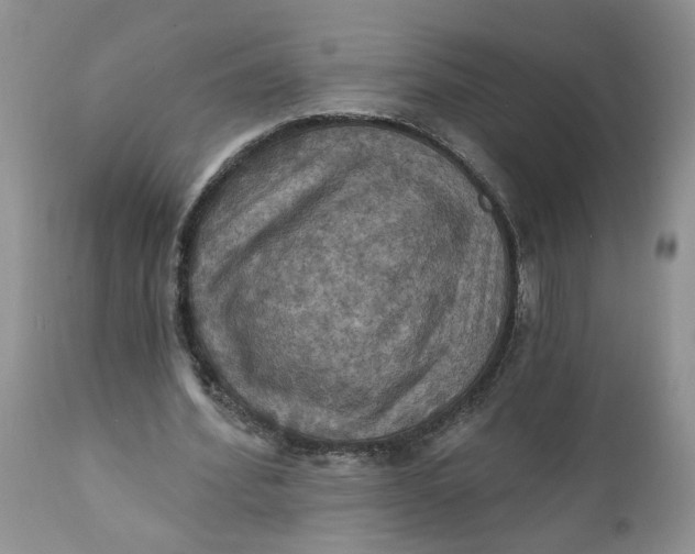X0000112030580200908241540