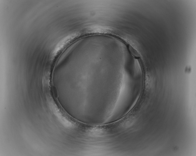 X0000112030581200908241540