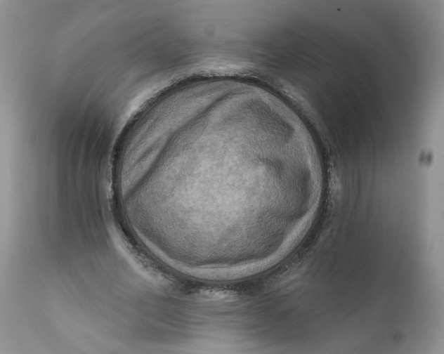 X0000112030582200908241540