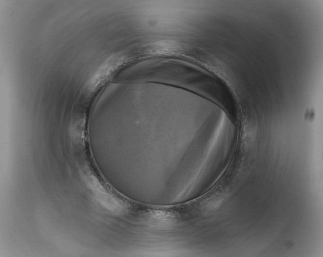X0000112030585200908241540