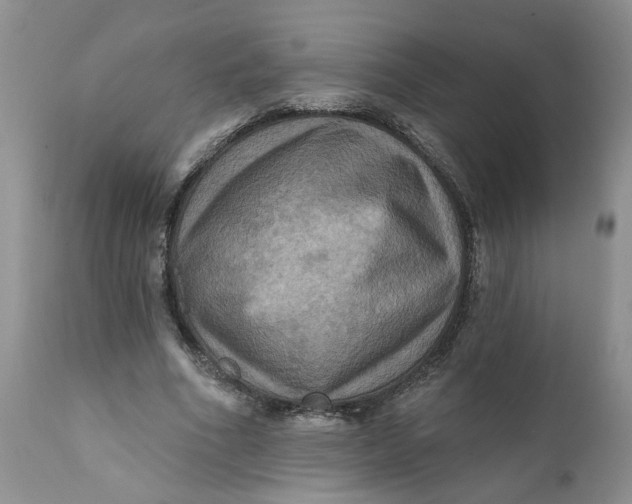 X0000112030586200908241540