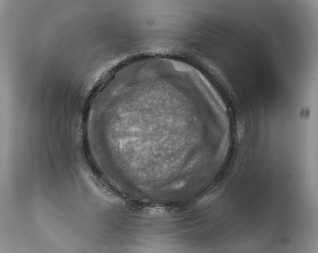 X0000112030588200908241540