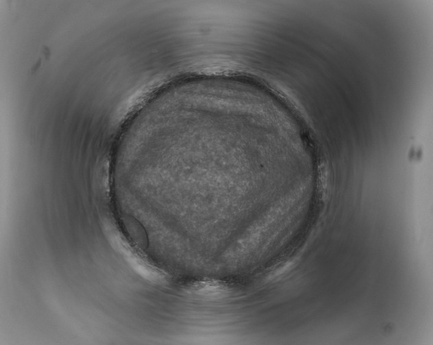 X0000112030589200908241540