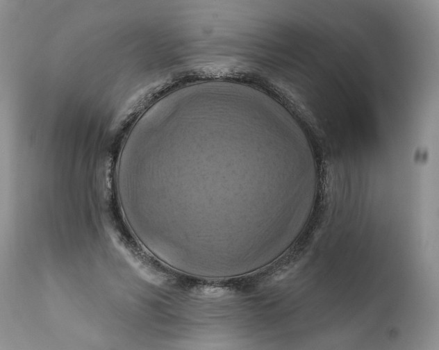 X0000112030590200908241540