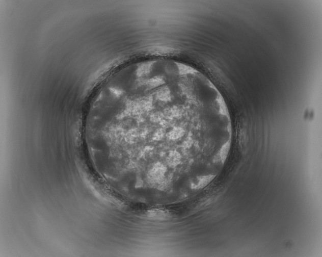 X0000112030591200908241540