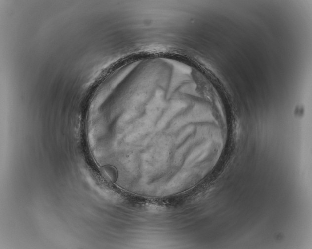 X0000112030592200908241540