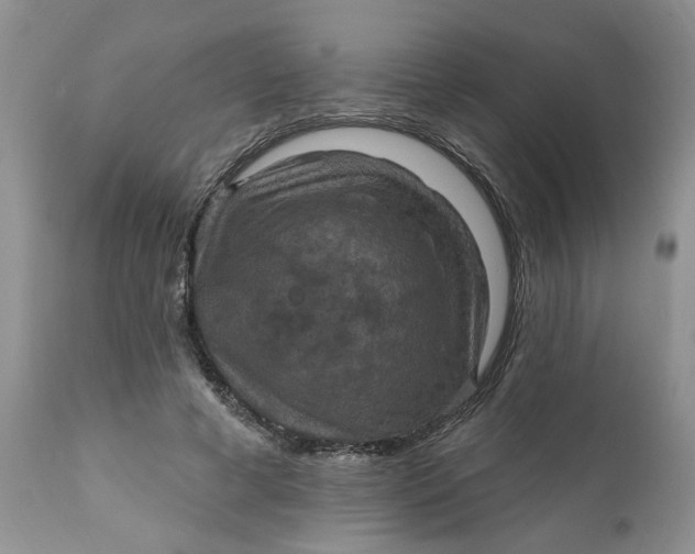 X0000112030593200908241540