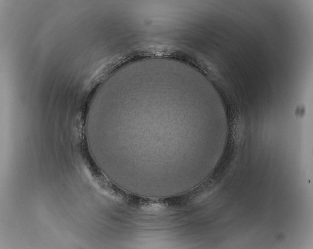 X0000112030594200908241540