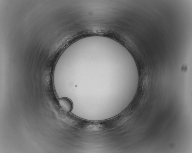 X0000112030595200908241540