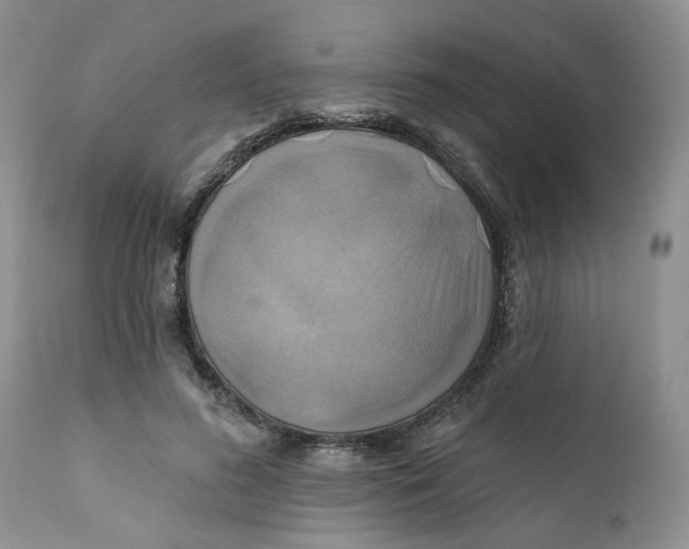 X0000112030596200908241540