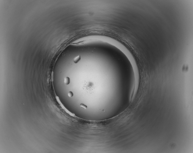 X0000112030597200908241540