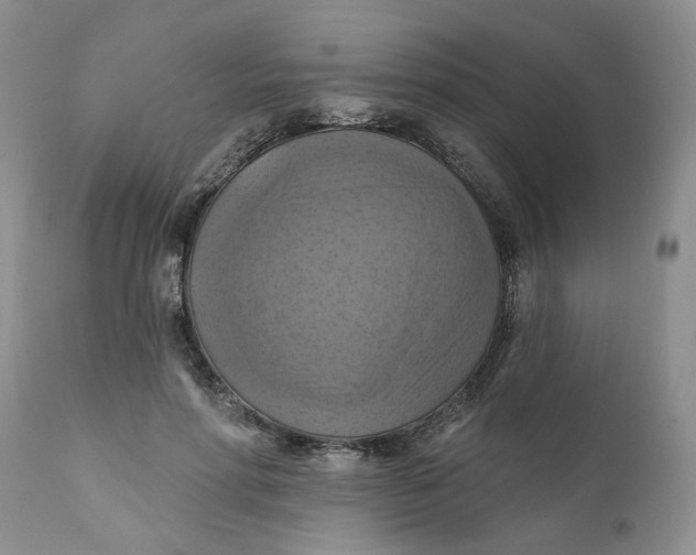 X0000112030598200908241540