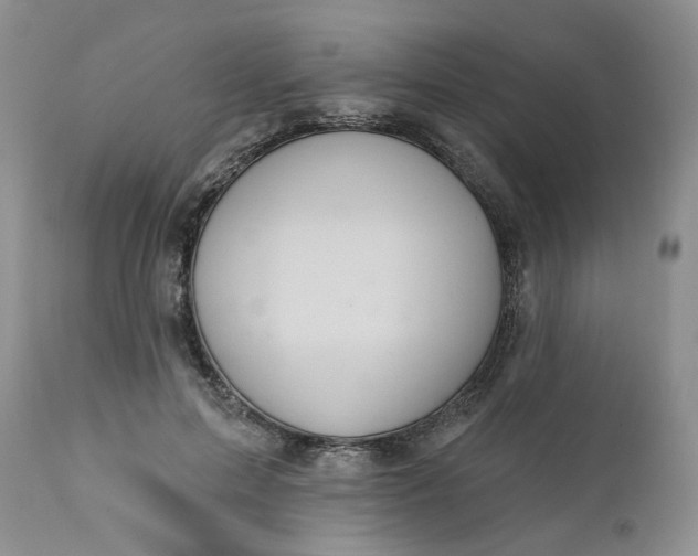 X0000112030599200908241540