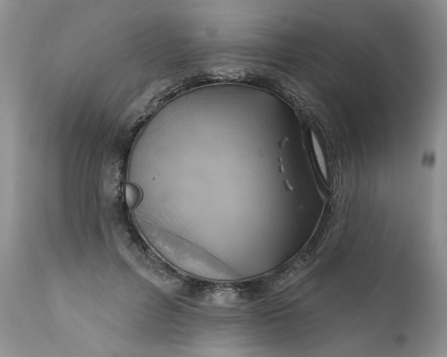 X0000112030600200908241540
