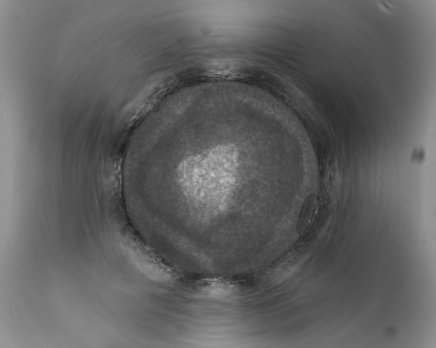 X0000112030601200908241540