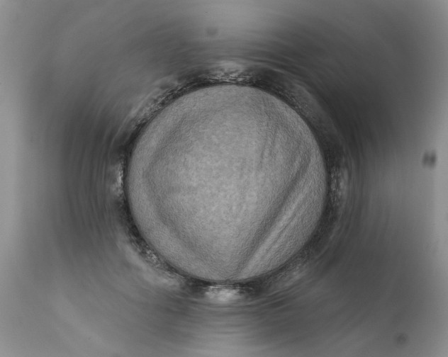 X0000112030602200908241540