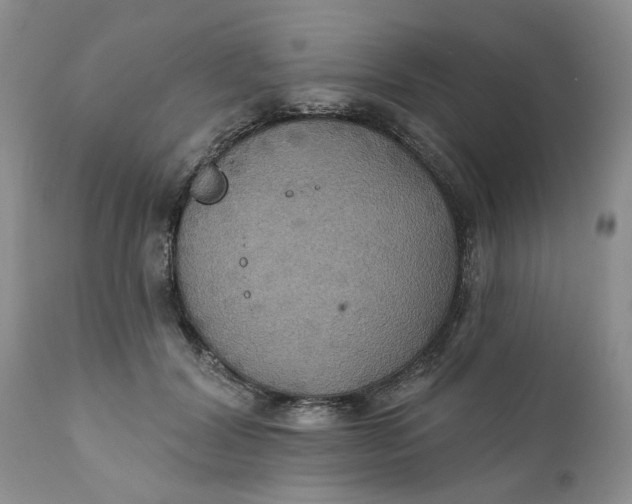 X0000112030604200908241540