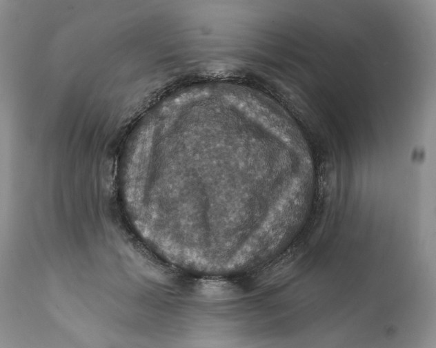 X0000112030605200908241540