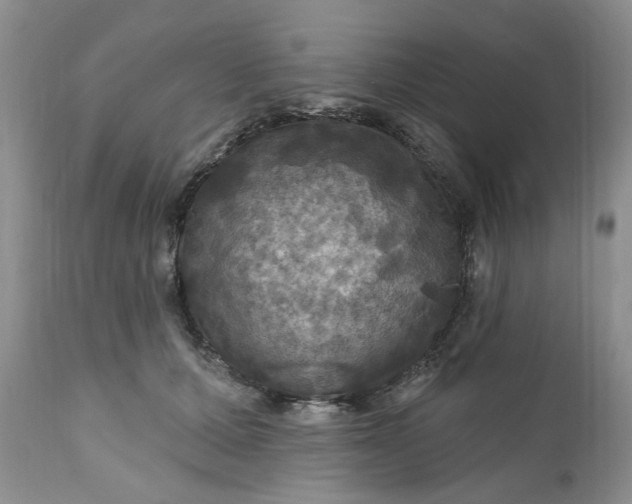 X0000112030607200908241540