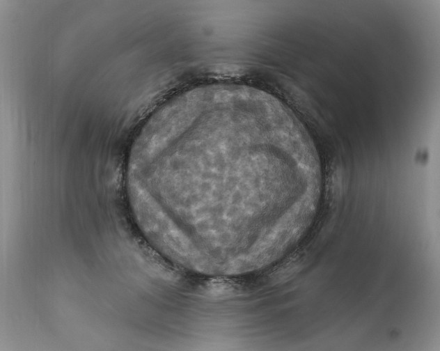 X0000112030608200908241540