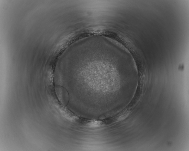X0000112030609200908241540