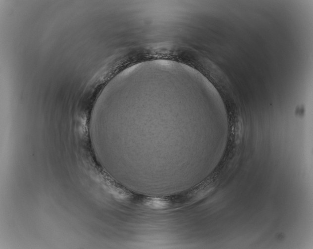 X0000112030610200908241540