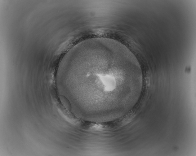 X0000112030611200908241540