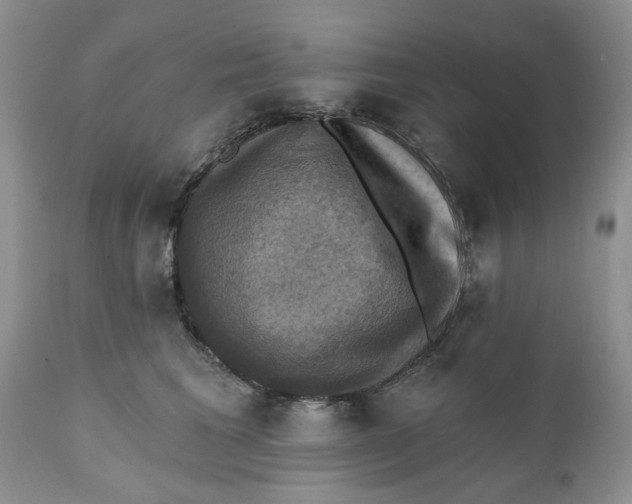 X0000112030613200908241540