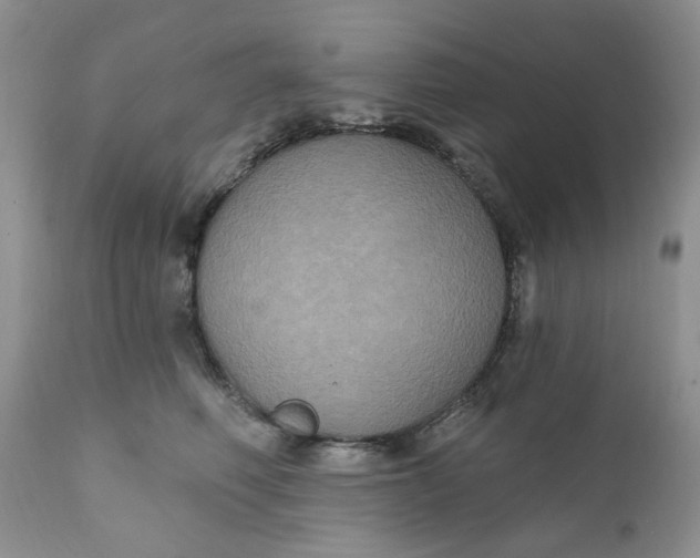 X0000112030614200908241540