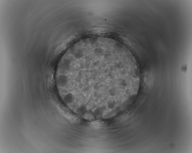 X0000112030615200908241540