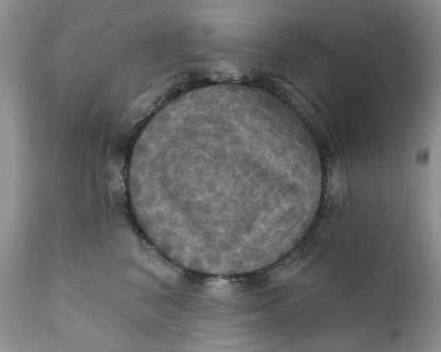 X0000112030616200908241540