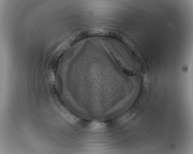 X0000112030617200908241540